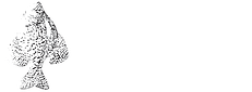 ACE Custom Rods